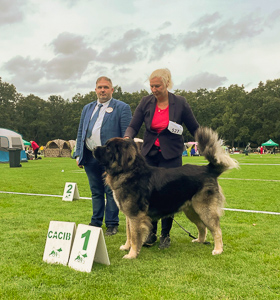 Hodowla owczark�w kaukaskich, kaukazy z Imperial Eriador FCI